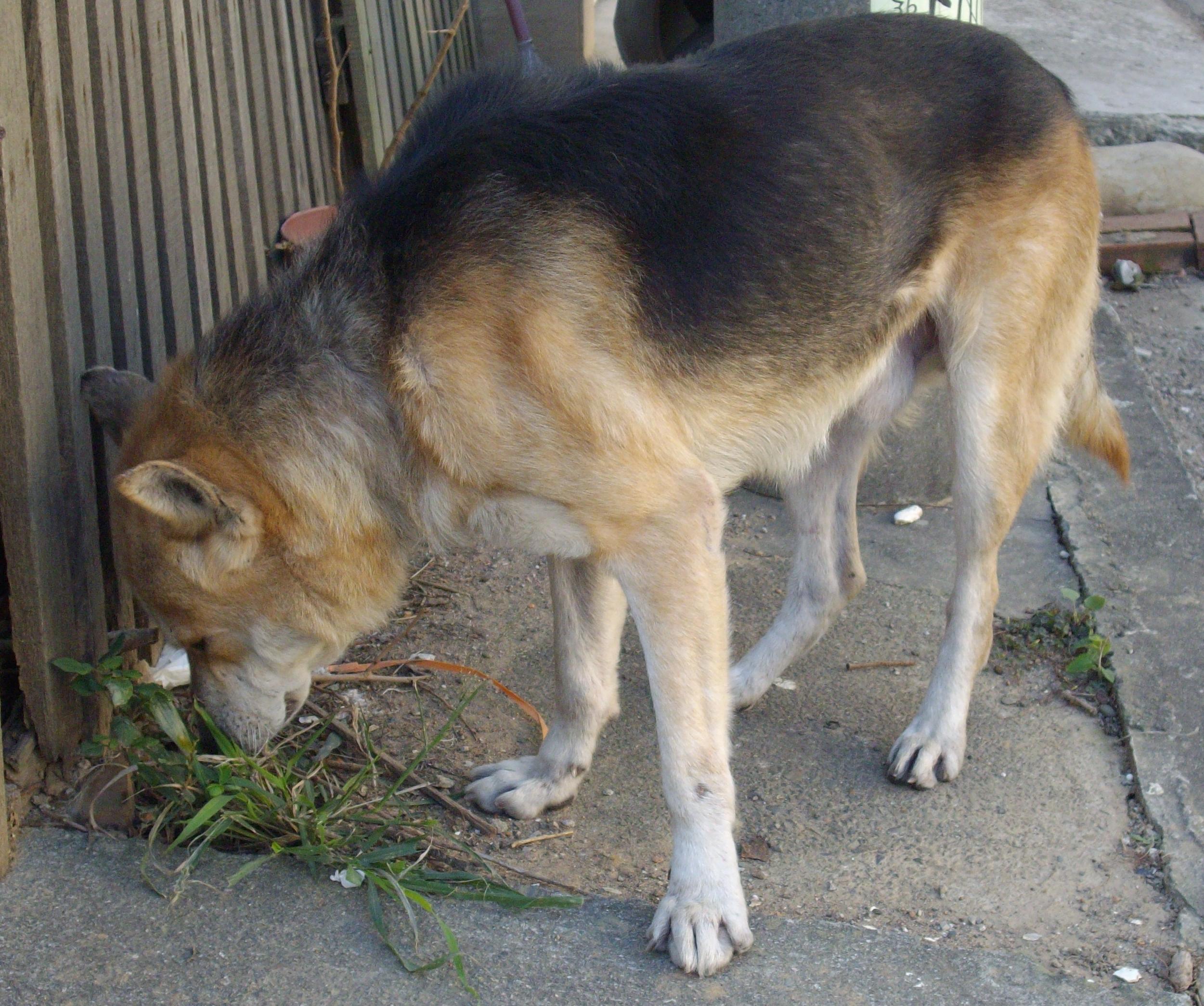 Luck兒－2