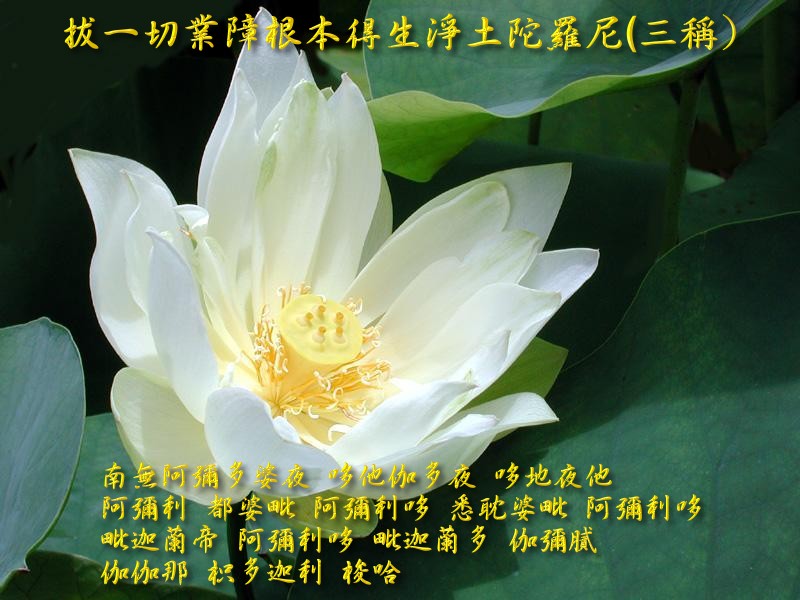 往生咒wallpaper.jpg