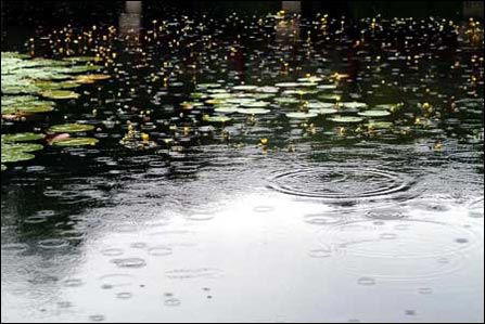 rain_jq_2_1.jpg