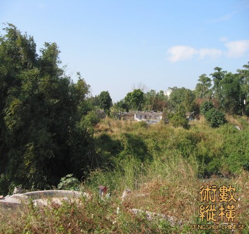 004_IMG.JPG