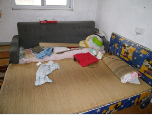 19.jpg