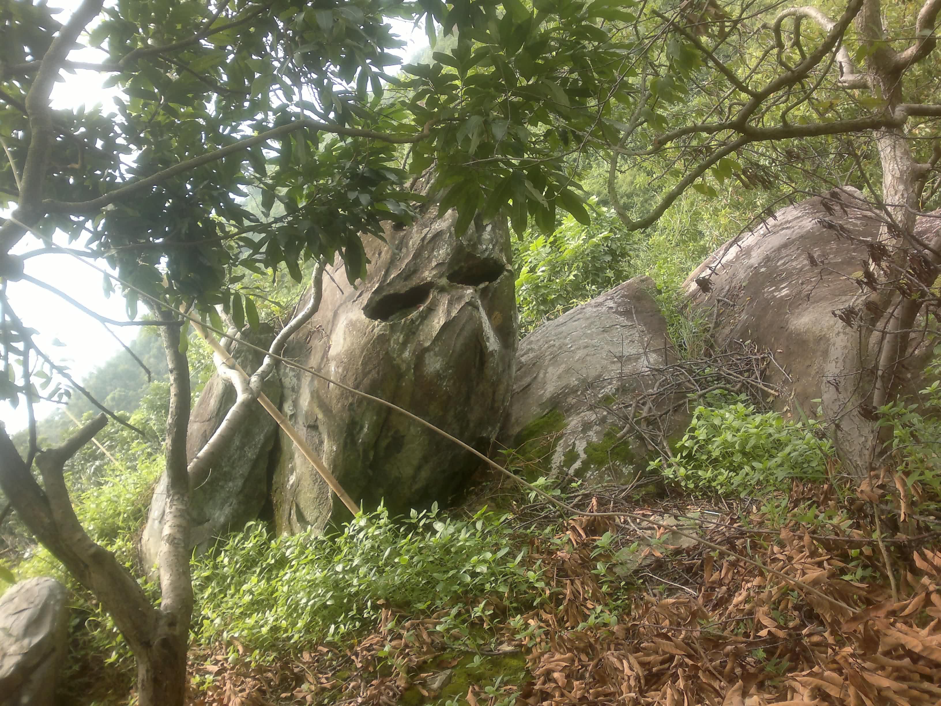 20110906077.jpg