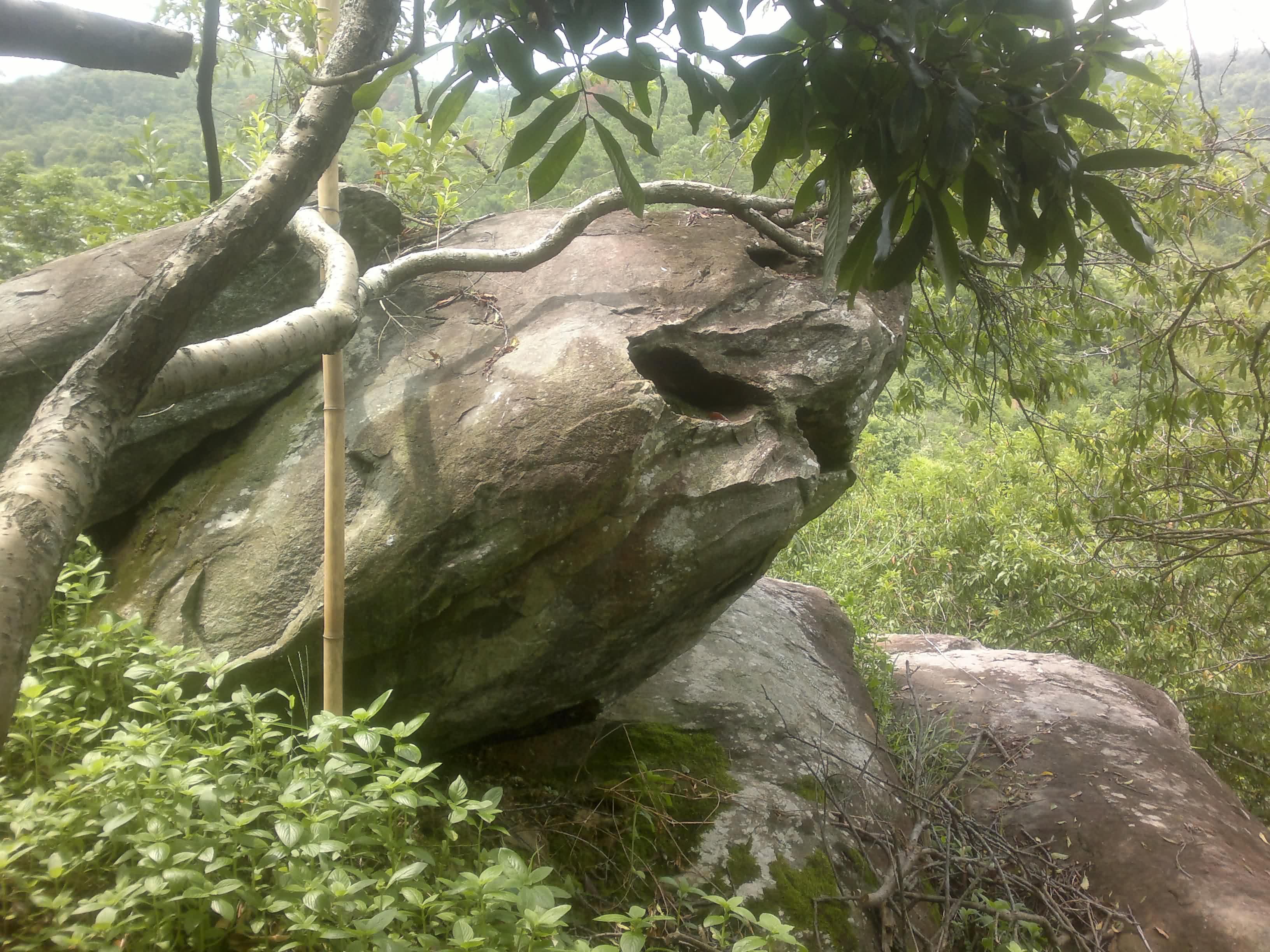 20110906078.jpg