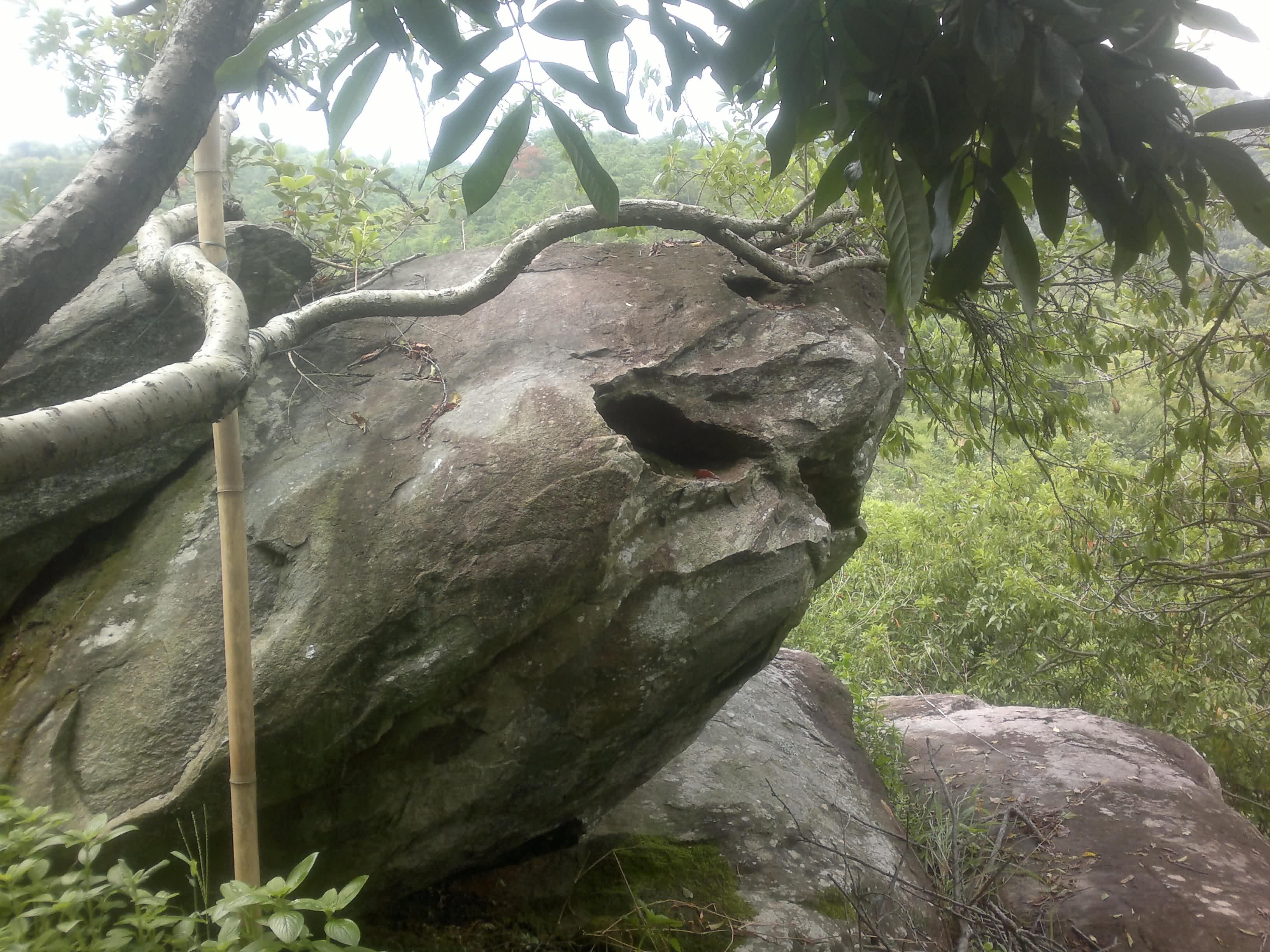 20110906081.jpg