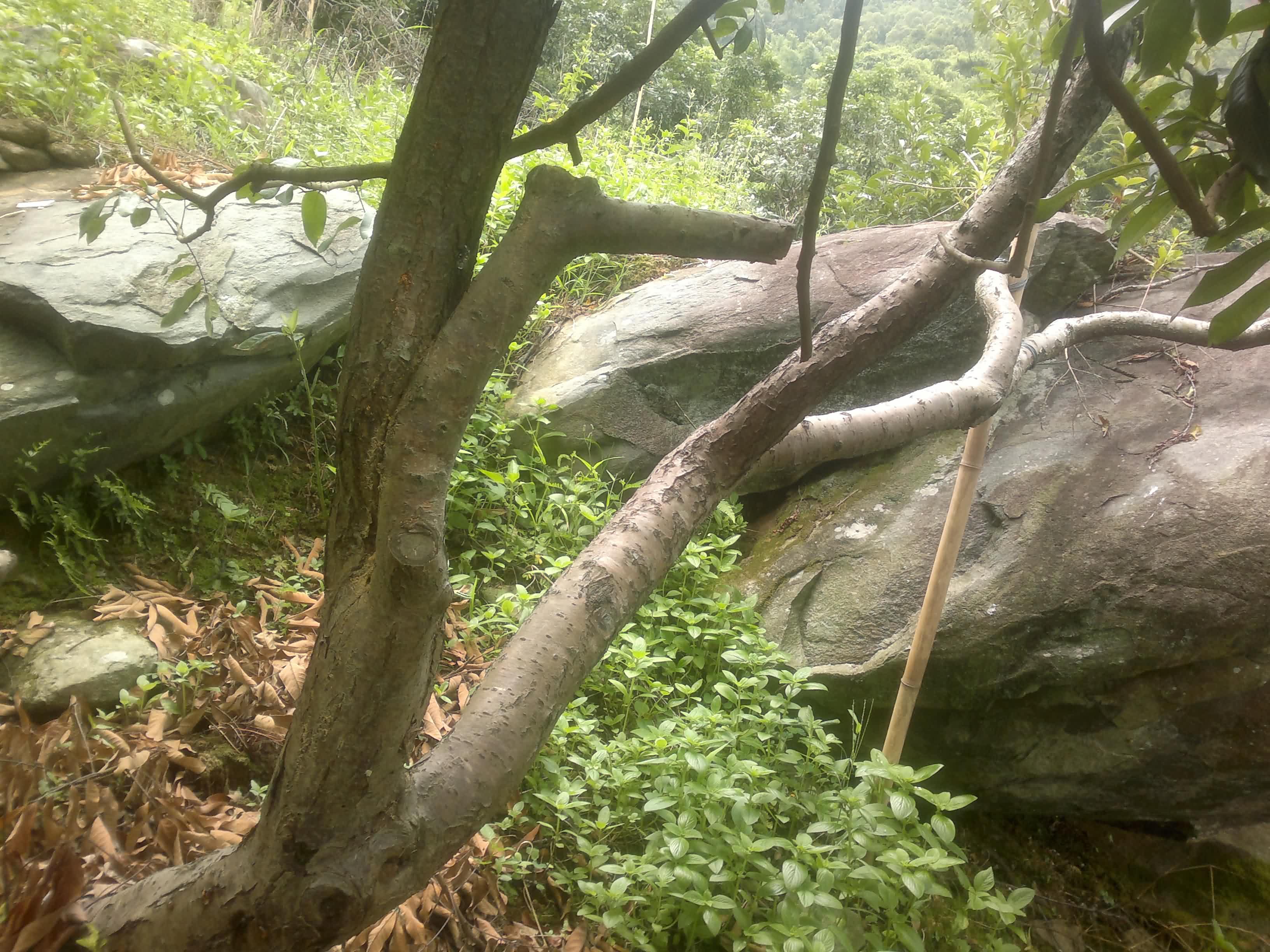 20110906082.jpg