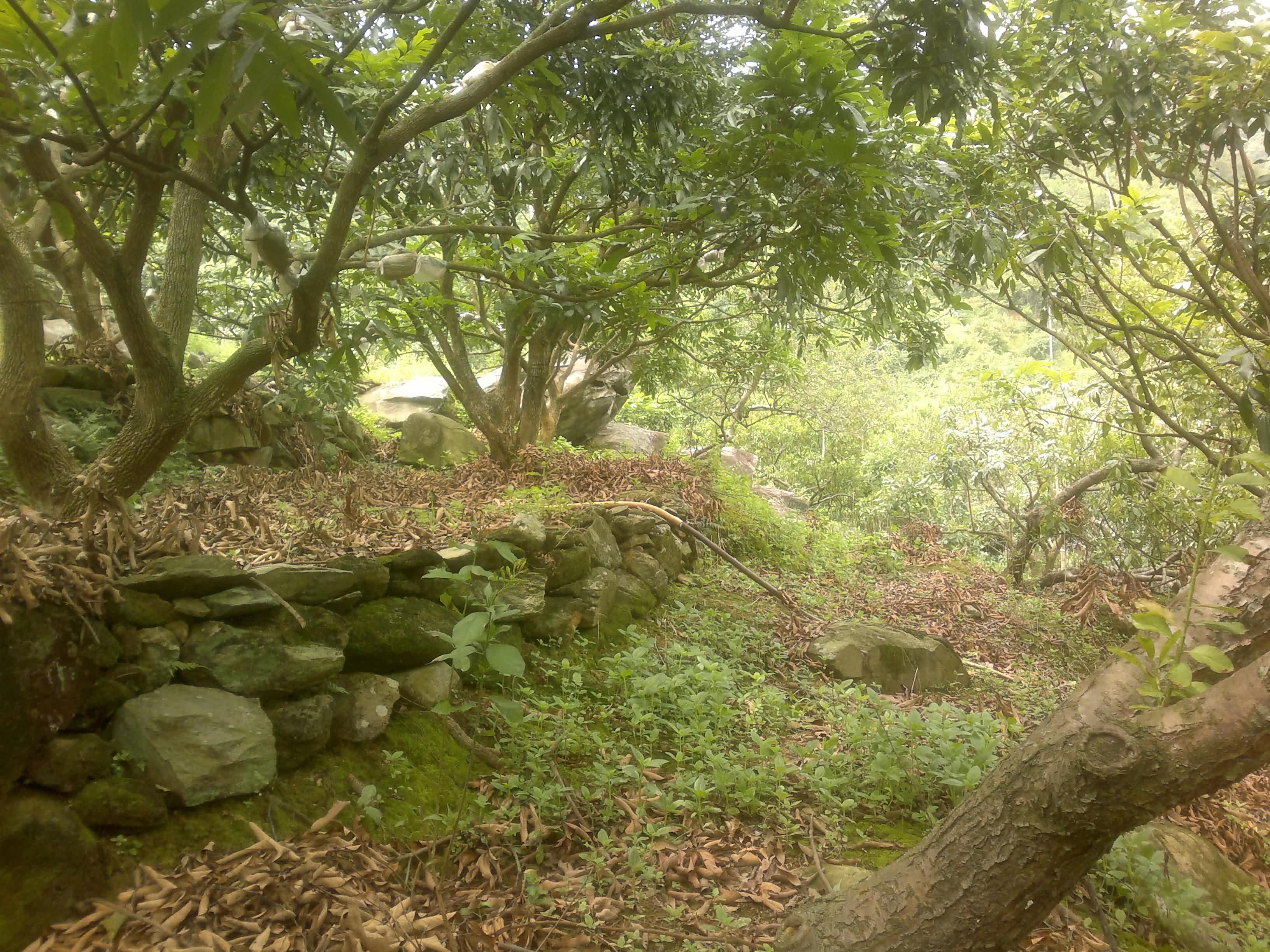 20110906084.jpg