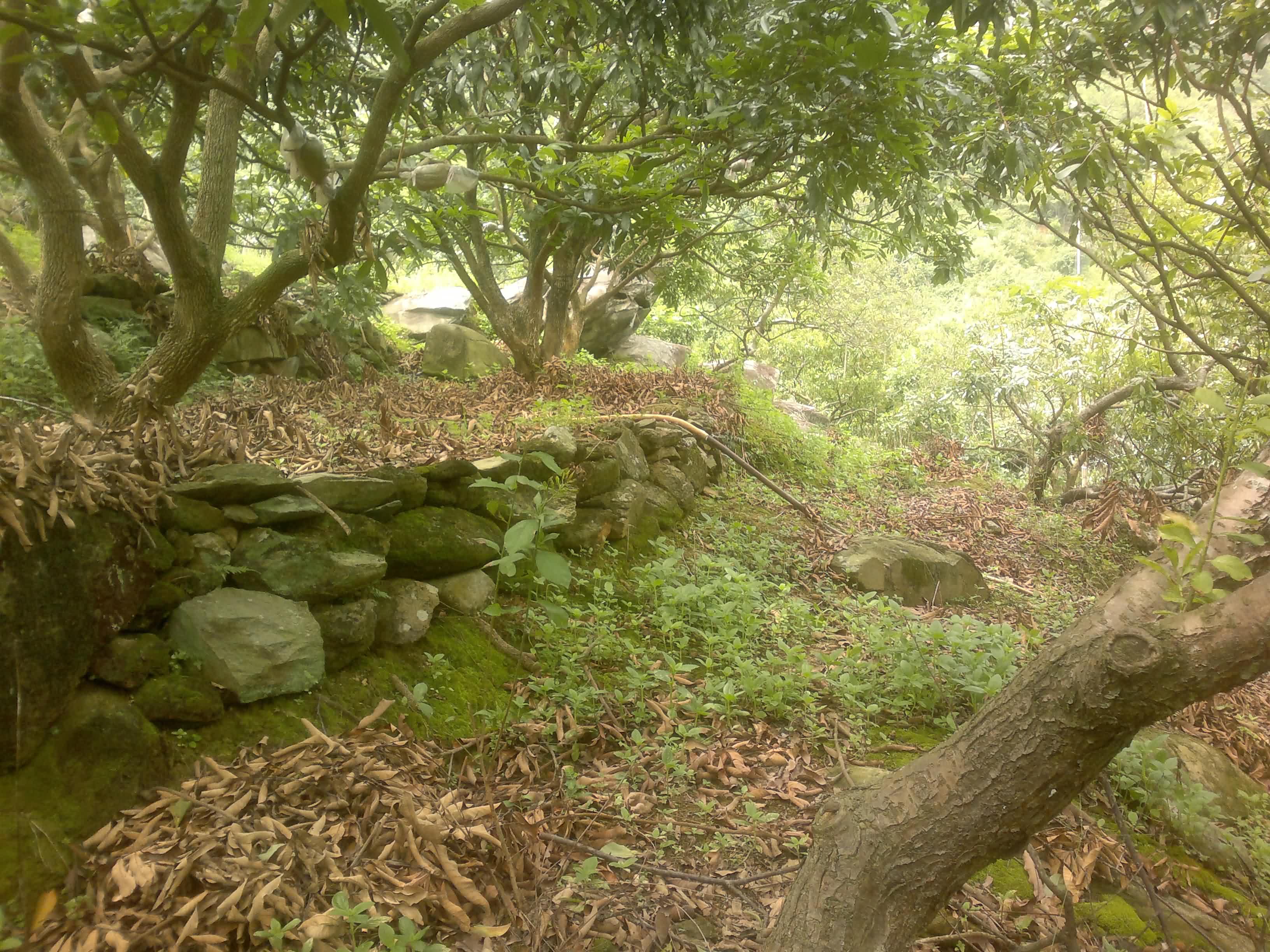 20110906085.jpg