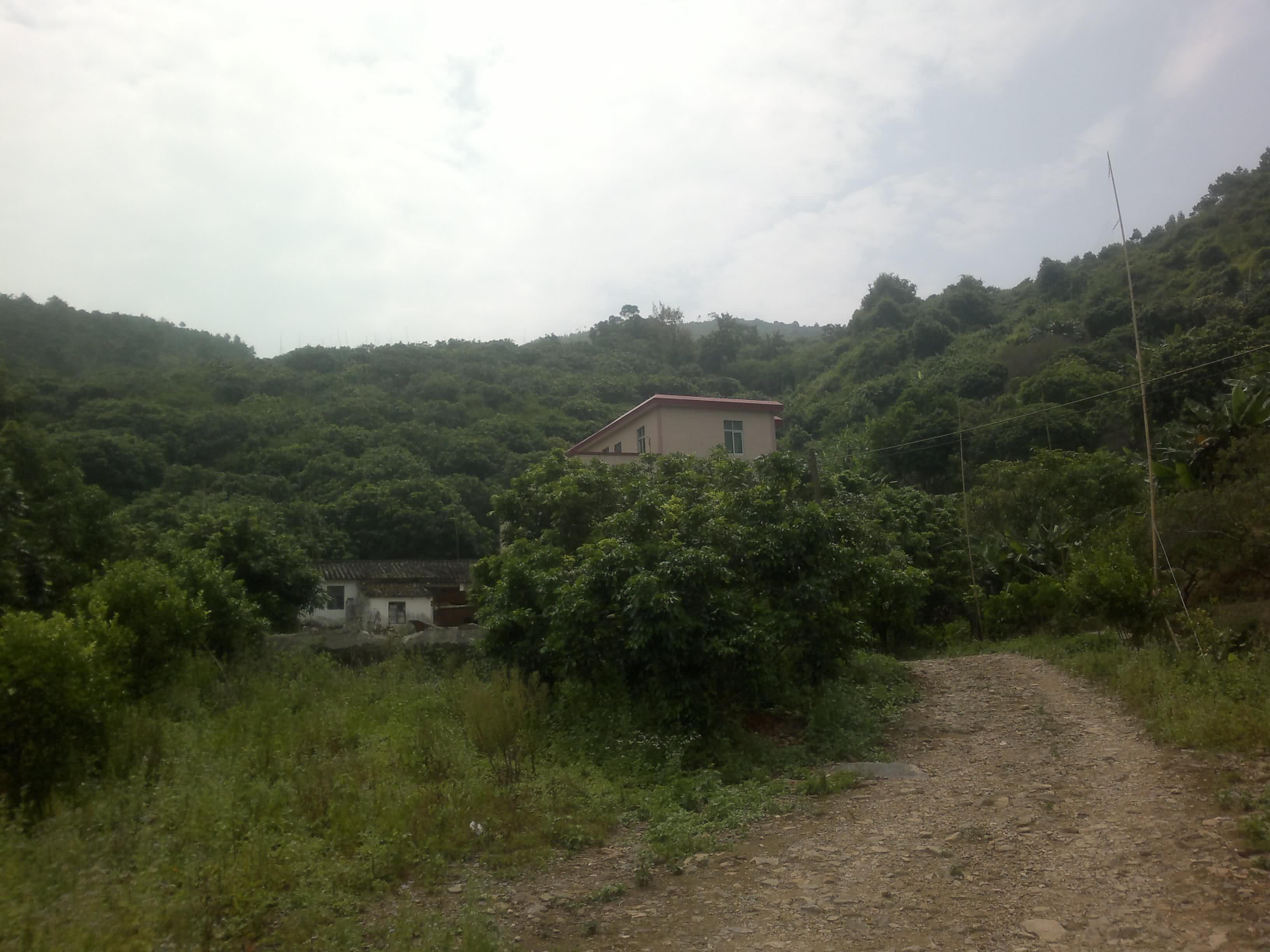 20110906088.jpg