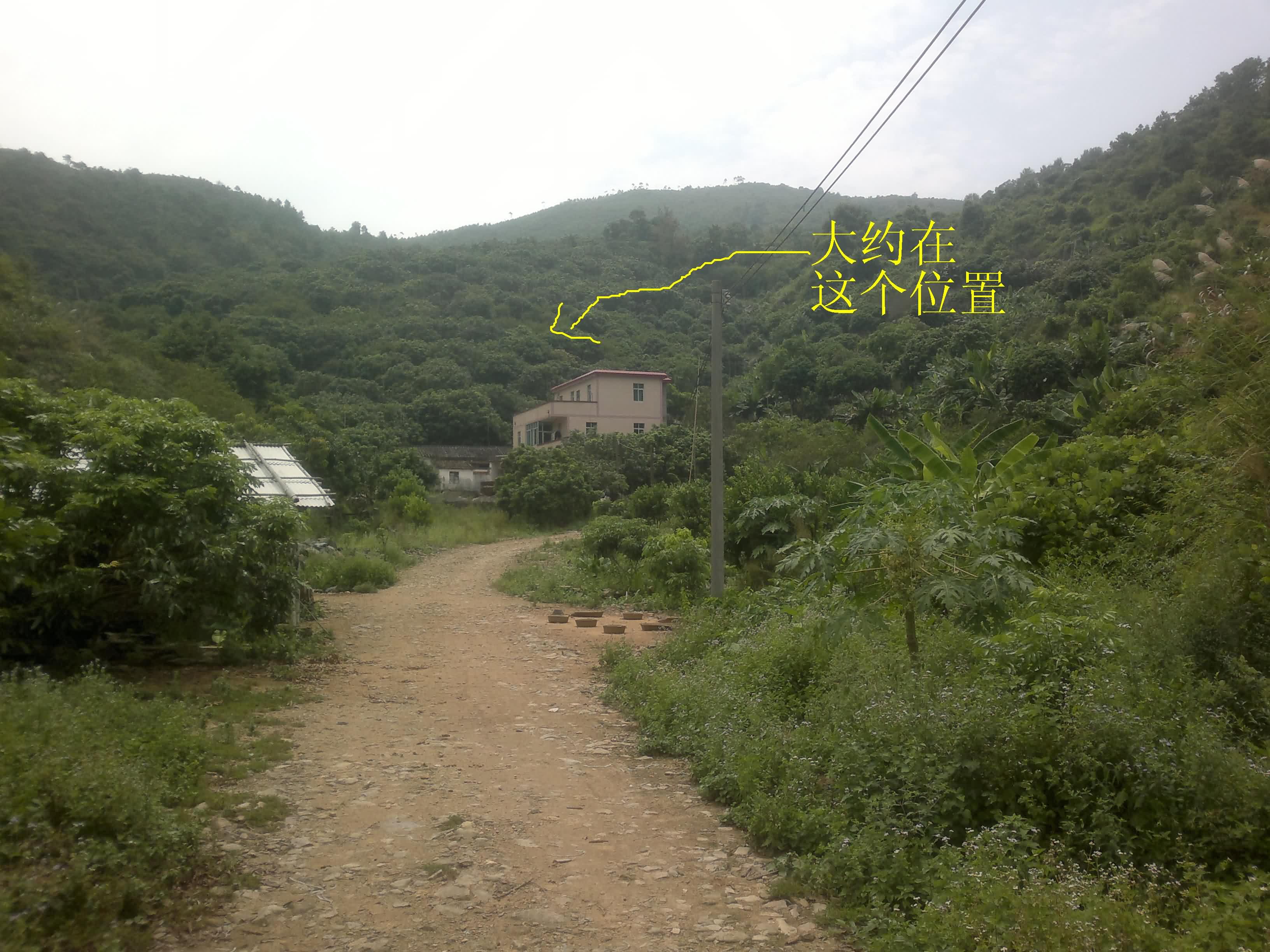 20110906089.jpg