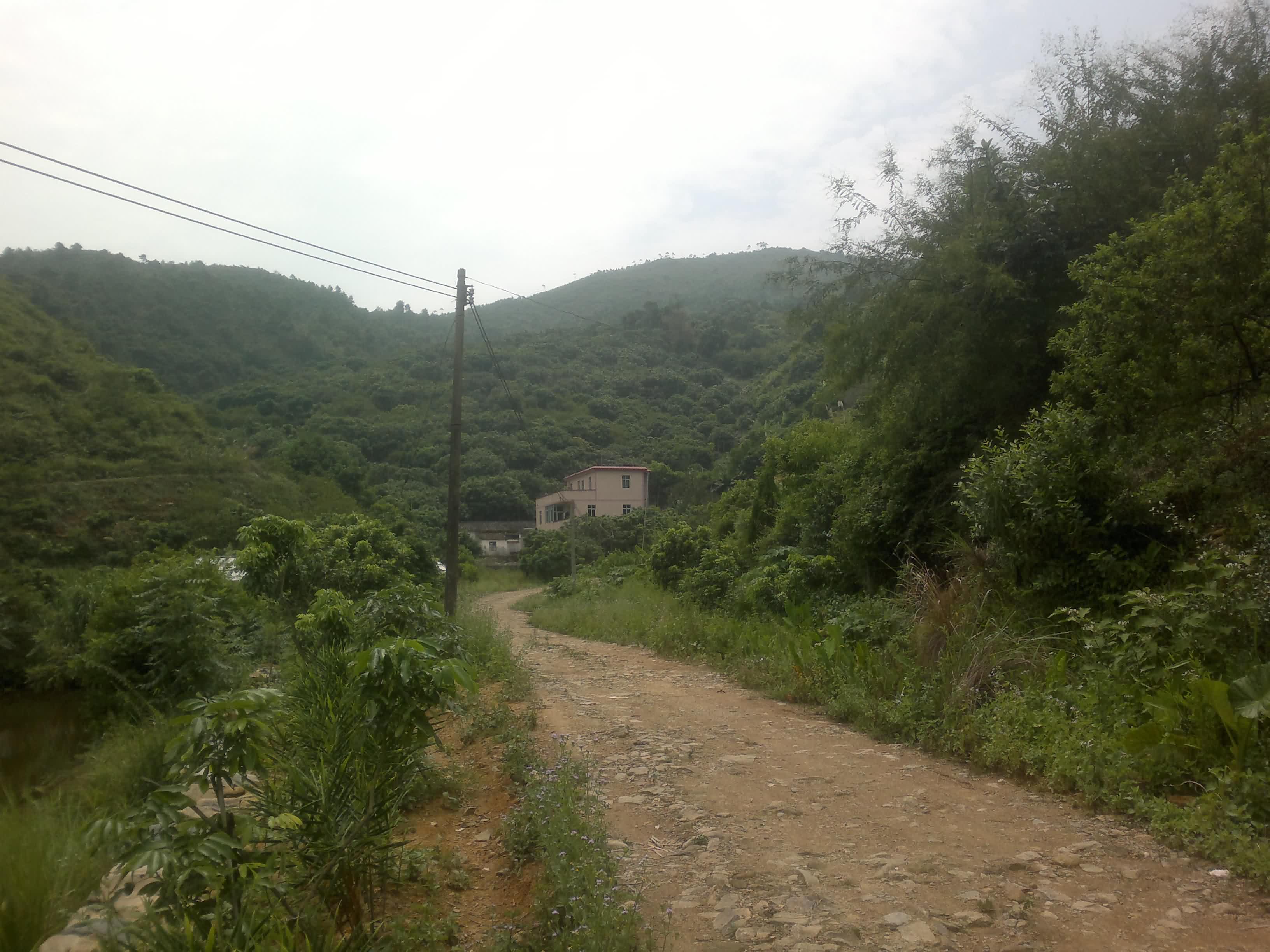20110906090.jpg