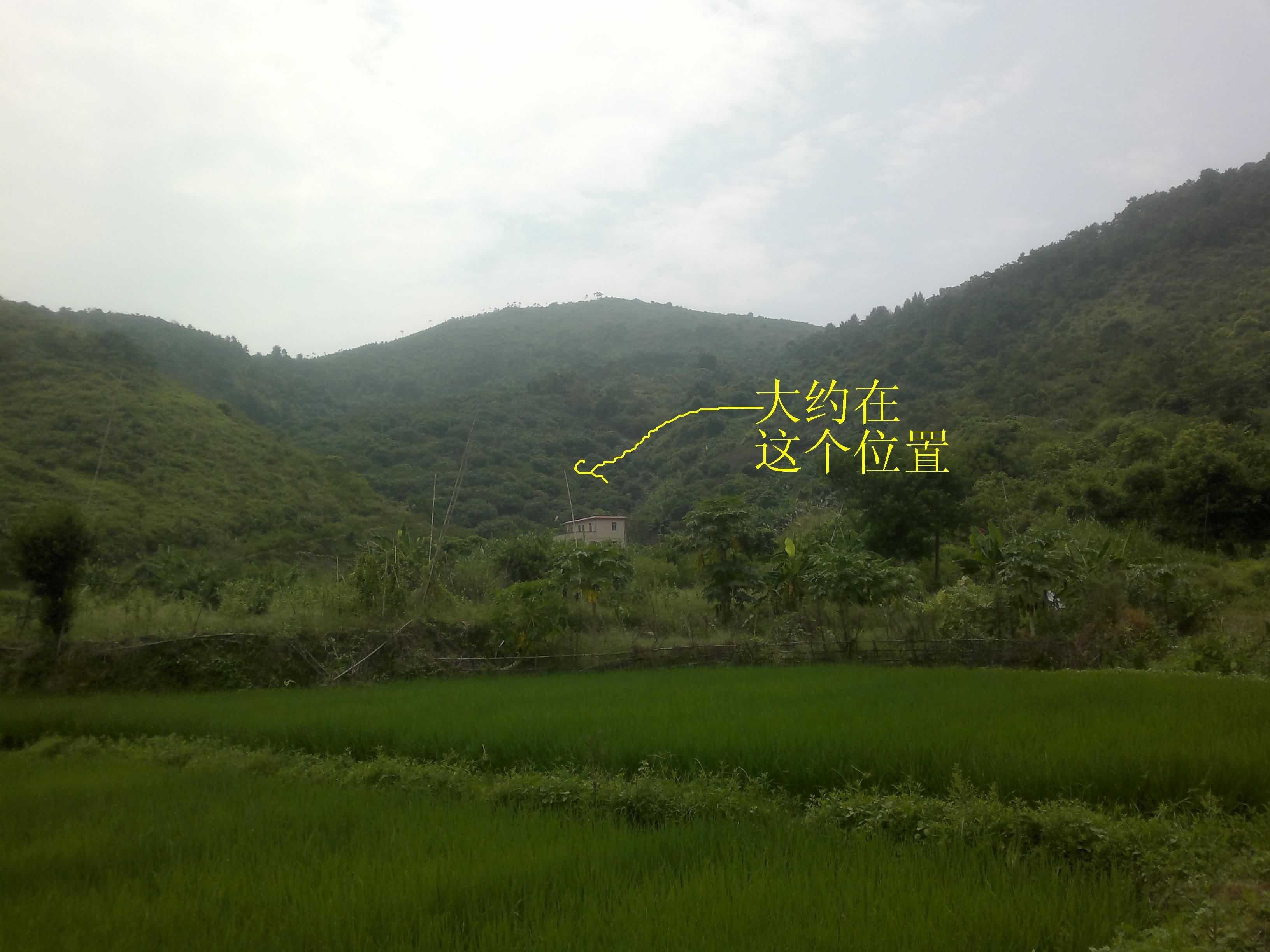 20110906092.jpg