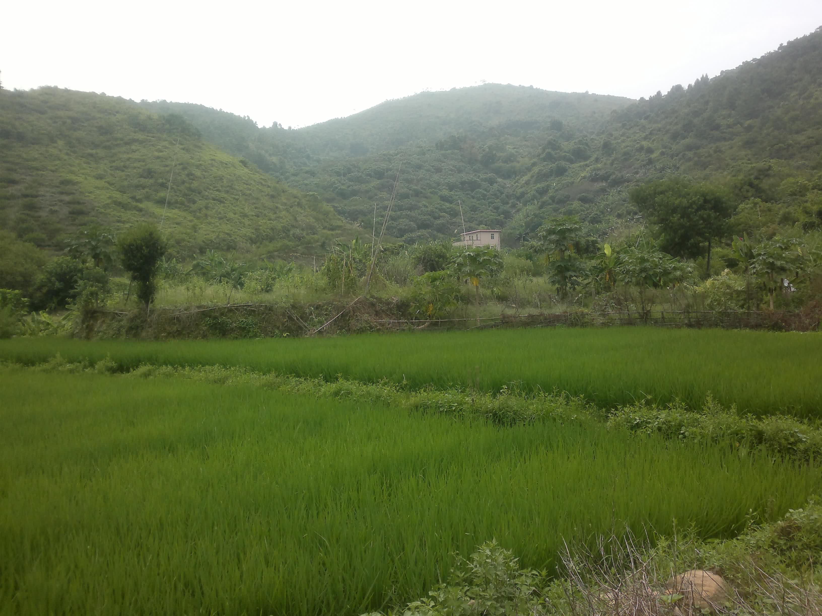 20110906094.jpg