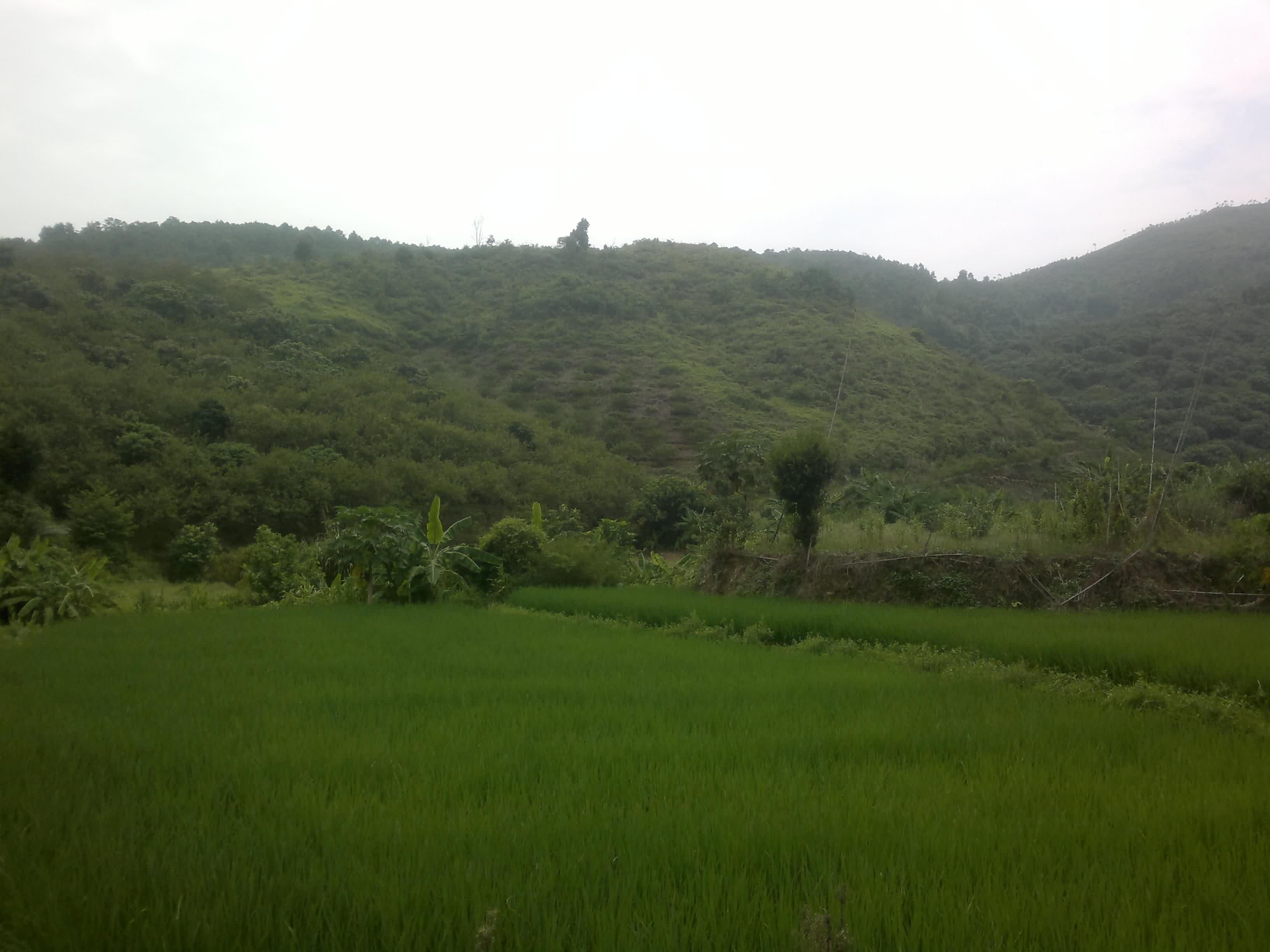 20110906095.jpg