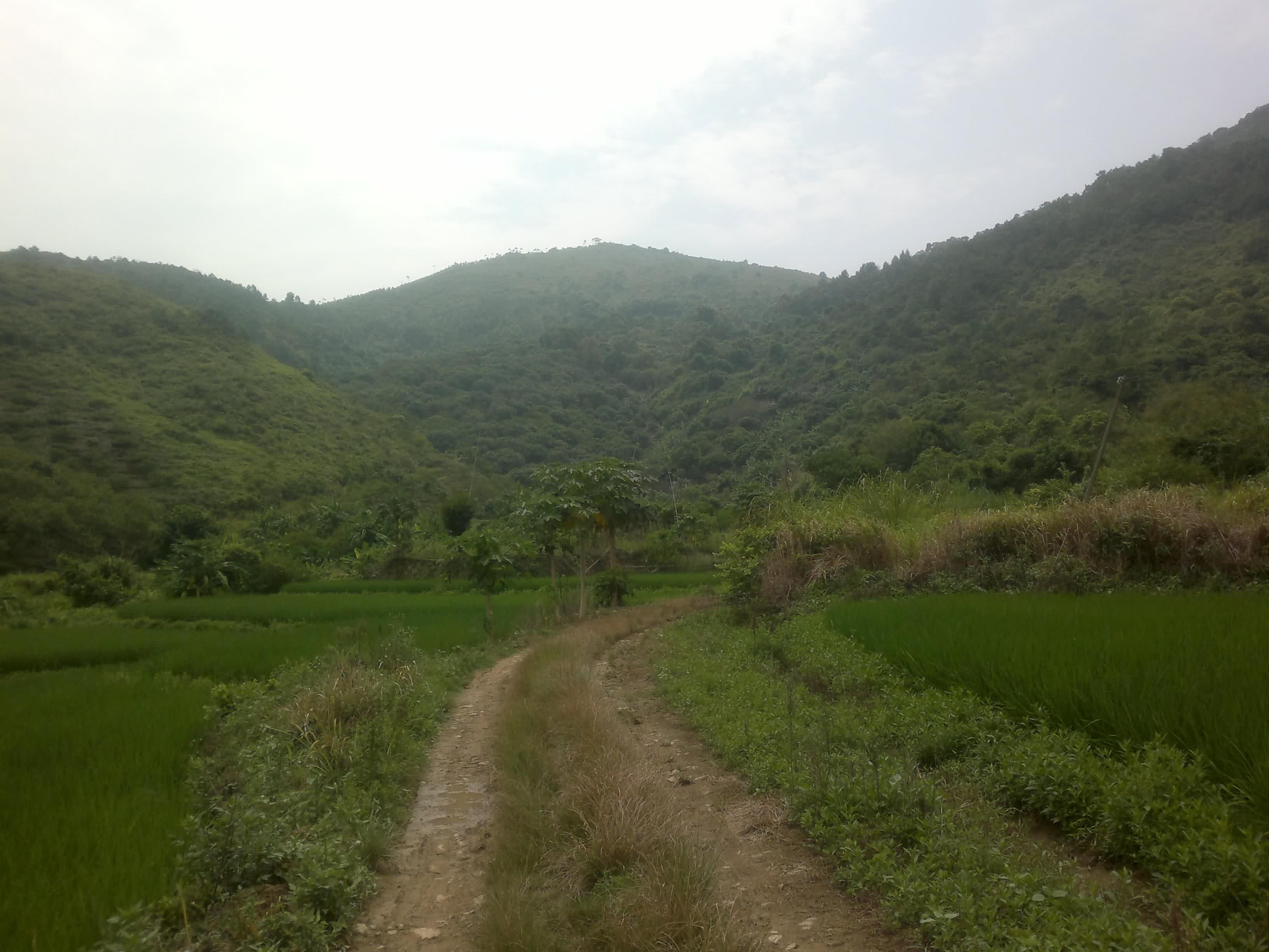 20110906096.jpg