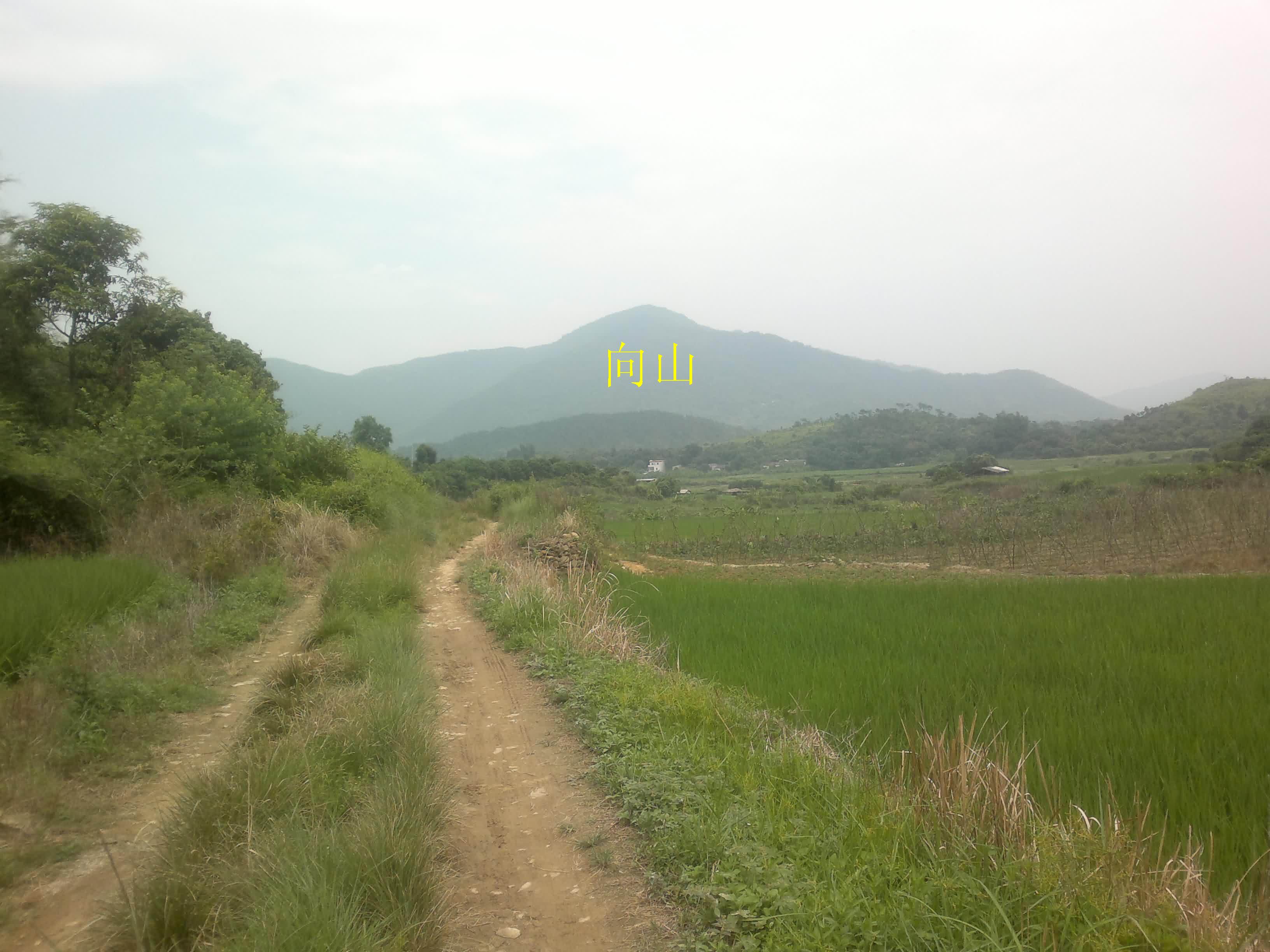 20110906097.jpg
