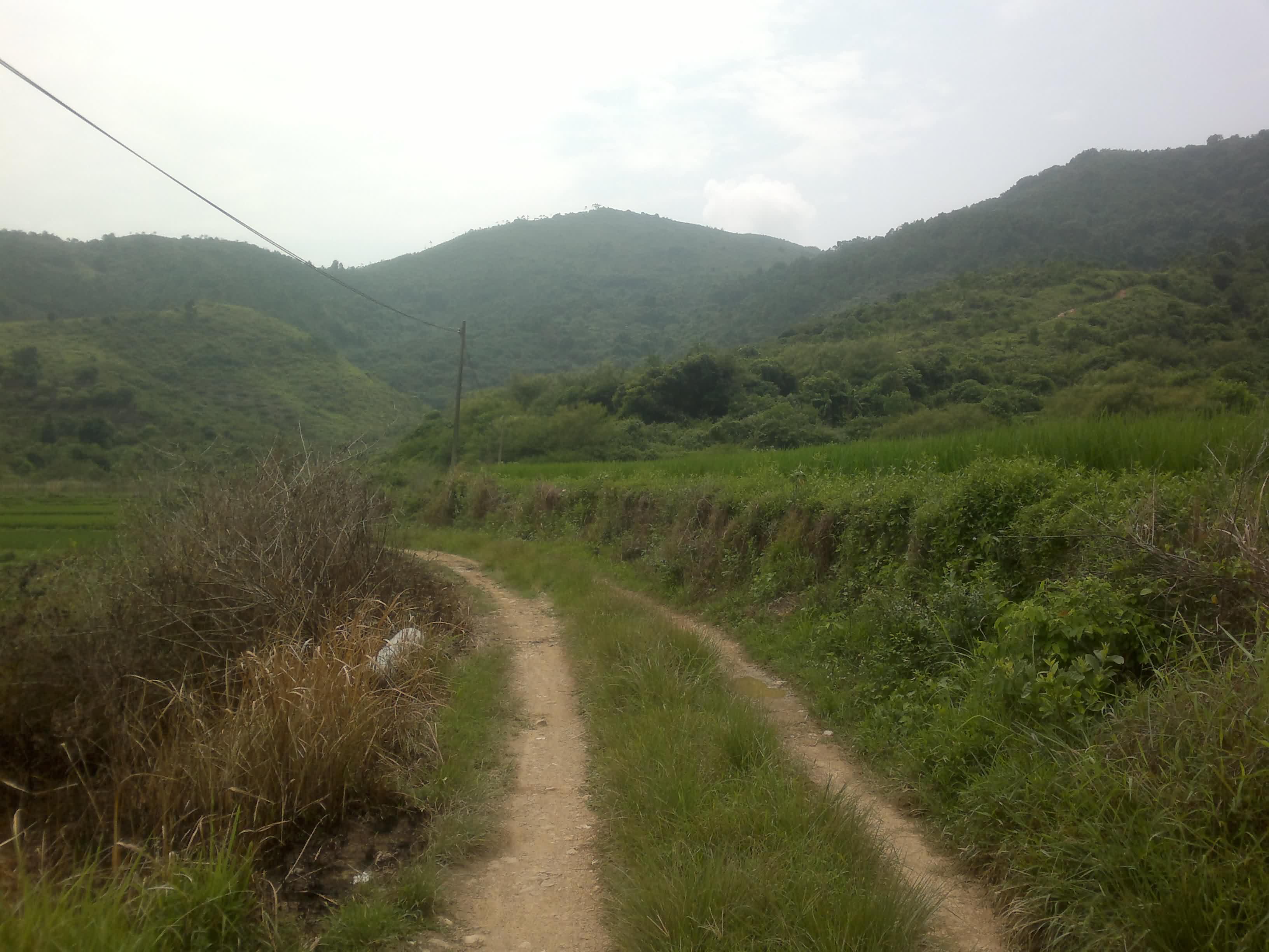 20110906098.jpg