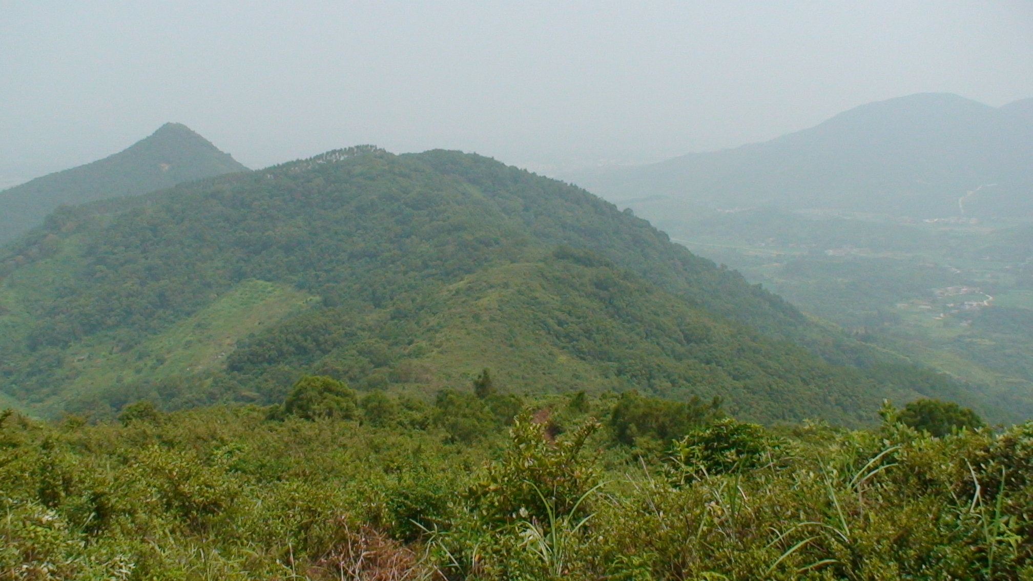 DSC00163.JPG