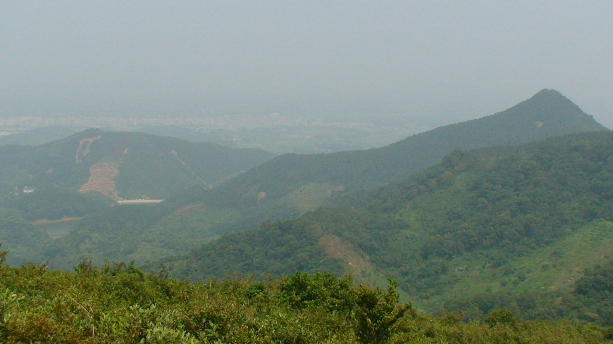 DSC00177.JPG