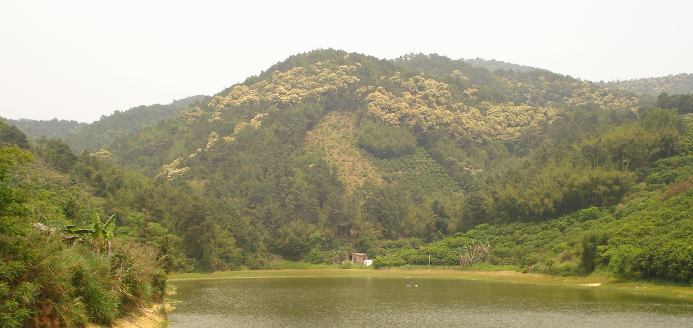 DSC06804e.jpg