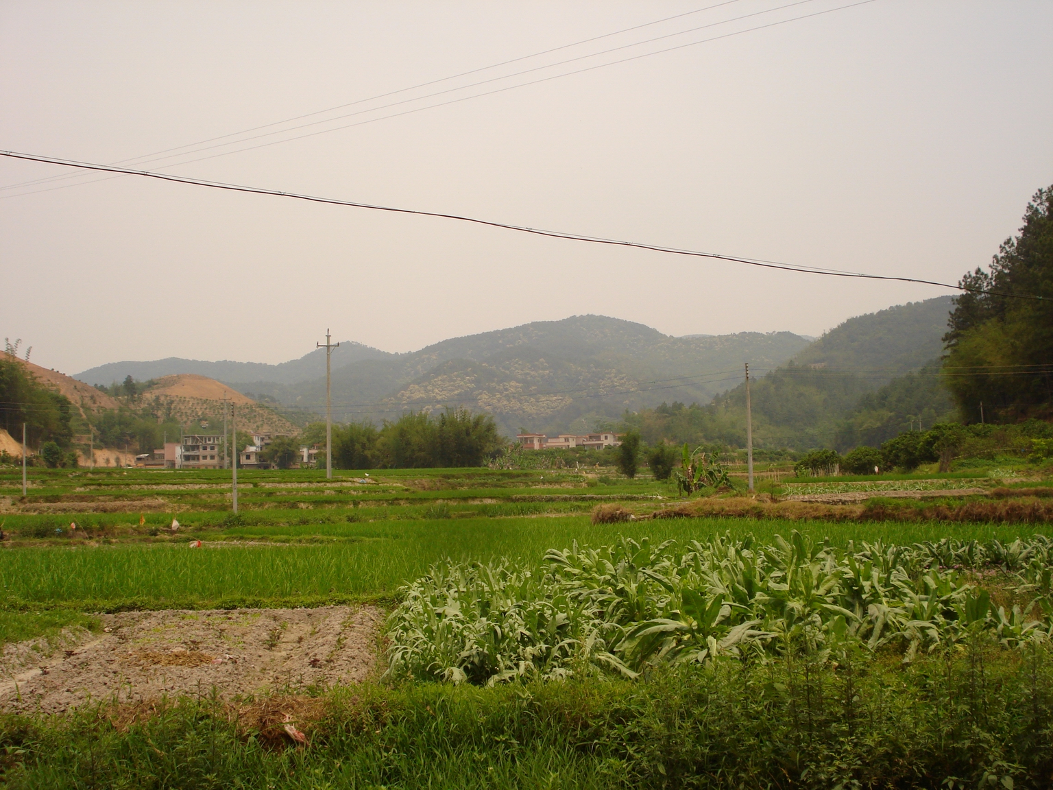 DSC06808b.jpg