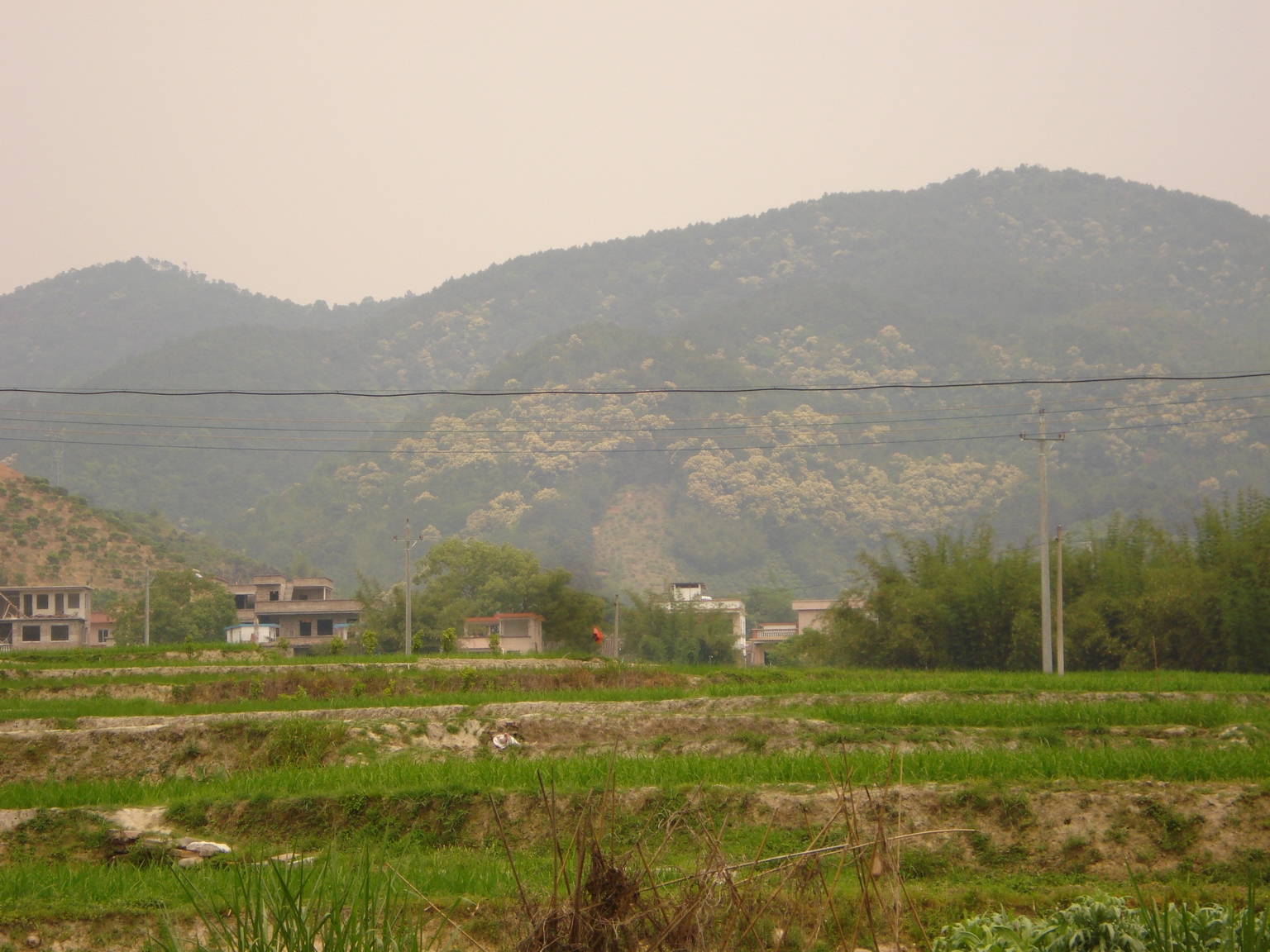 DSC06810d.jpg