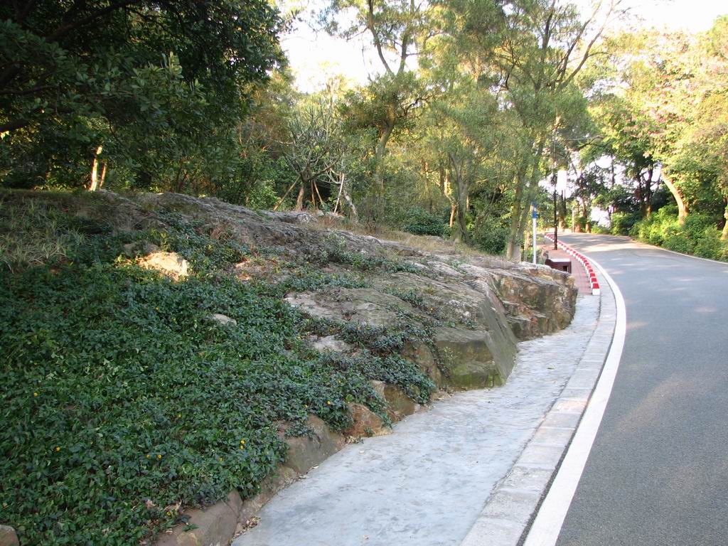 龙边石头.JPG