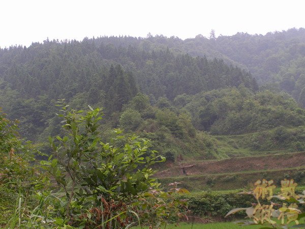 P6110141.JPG