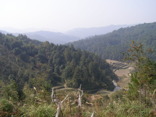 PB110183.JPG