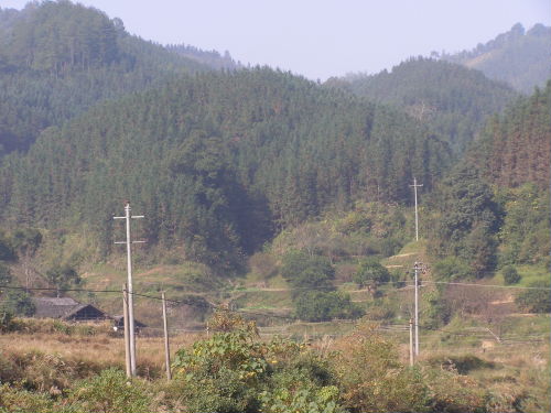 PB120223.JPG
