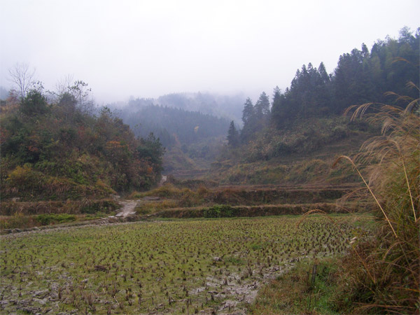 PC010297.jpg