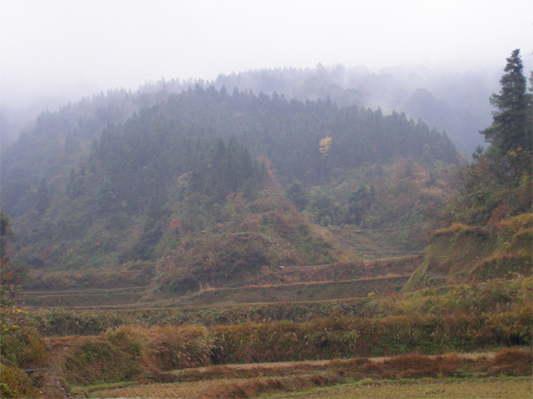 PC010300.jpg