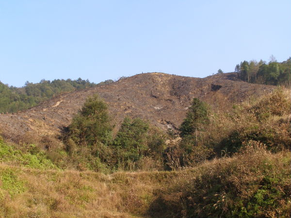 PC230040.JPG
