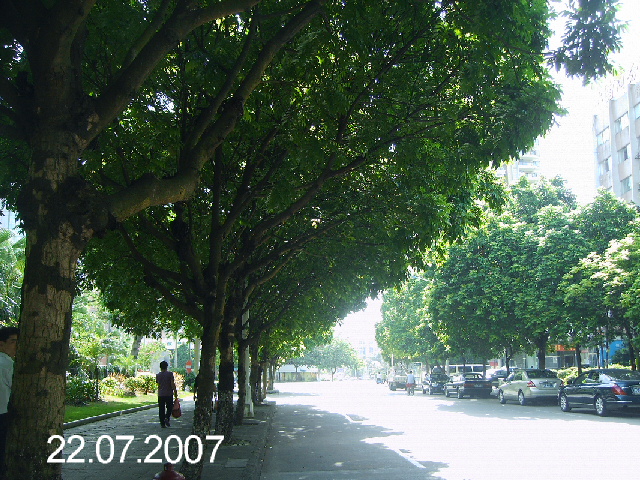 PICT4117.JPG