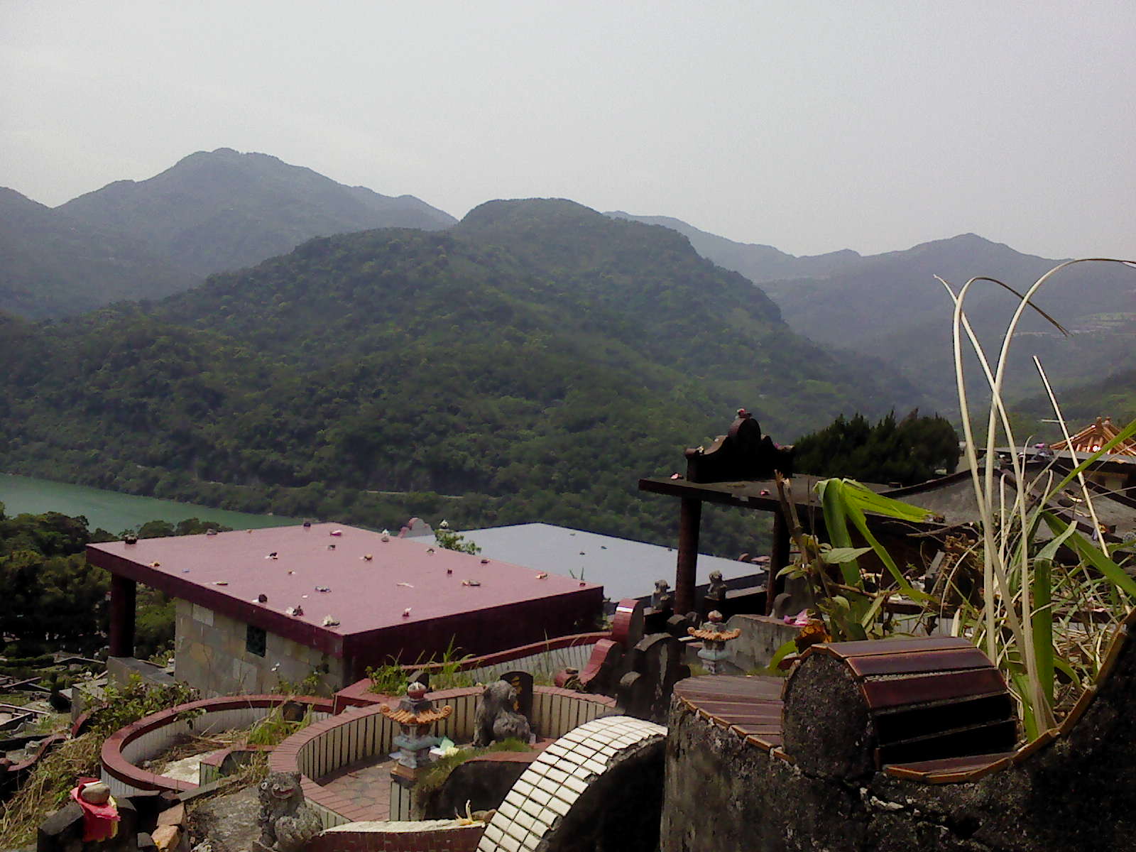 DSC00086-虎邊右2.JPG