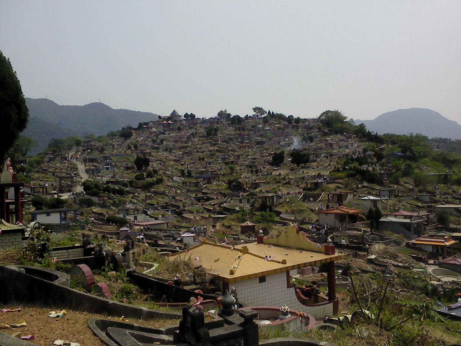 DSC00088-龍邊左2.JPG