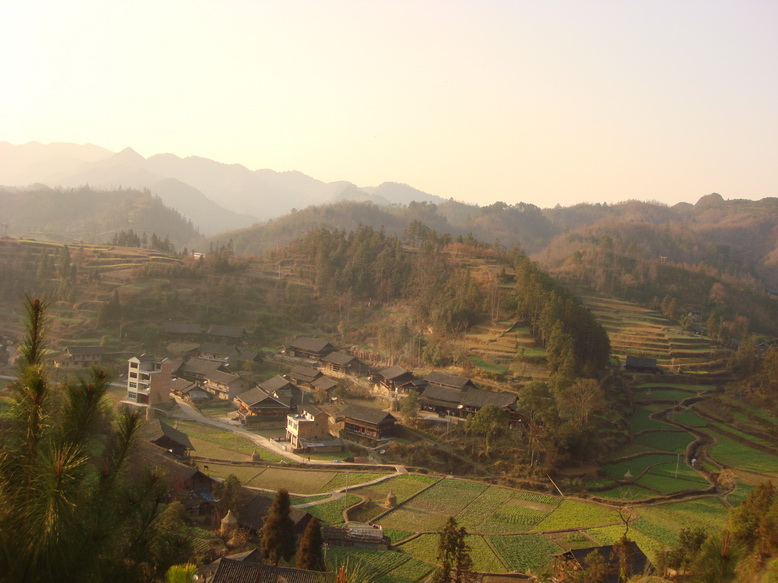 DSC02505_调整大小.JPG