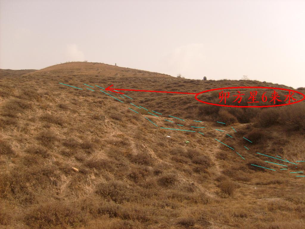 S6303220.JPG