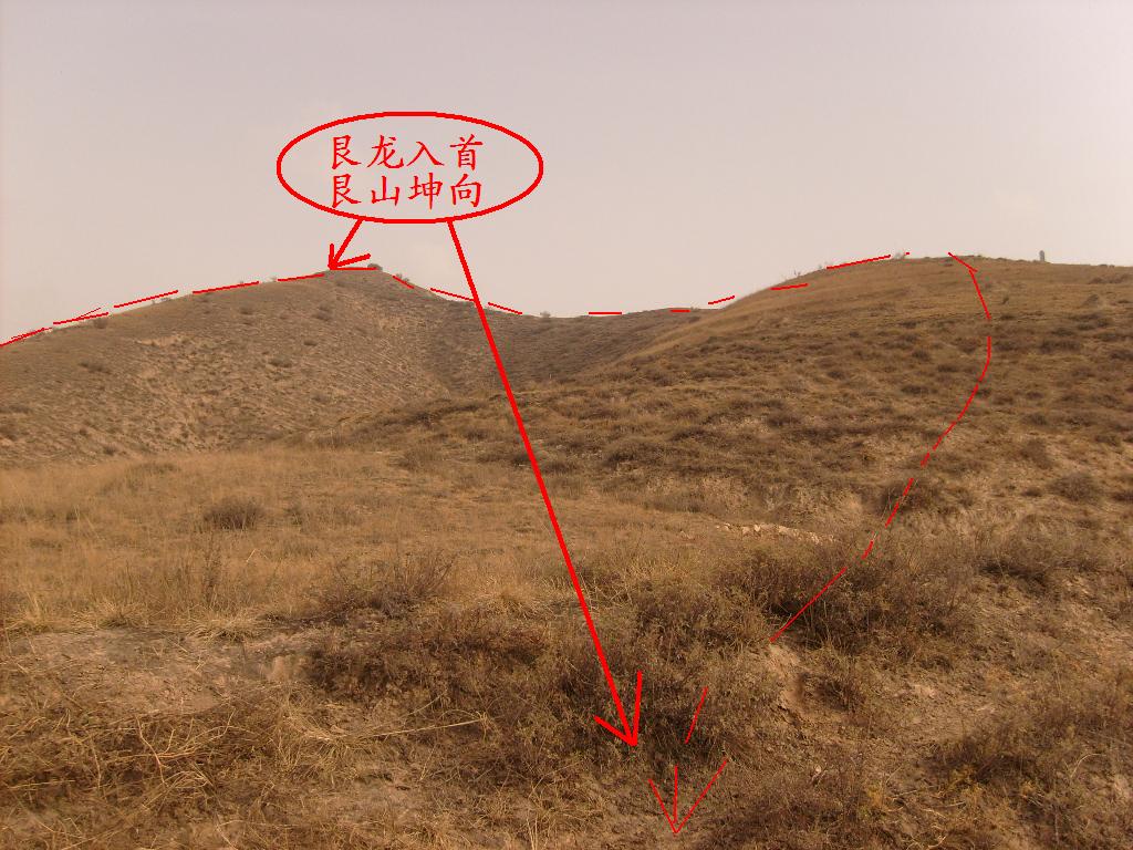 S6303227.JPG