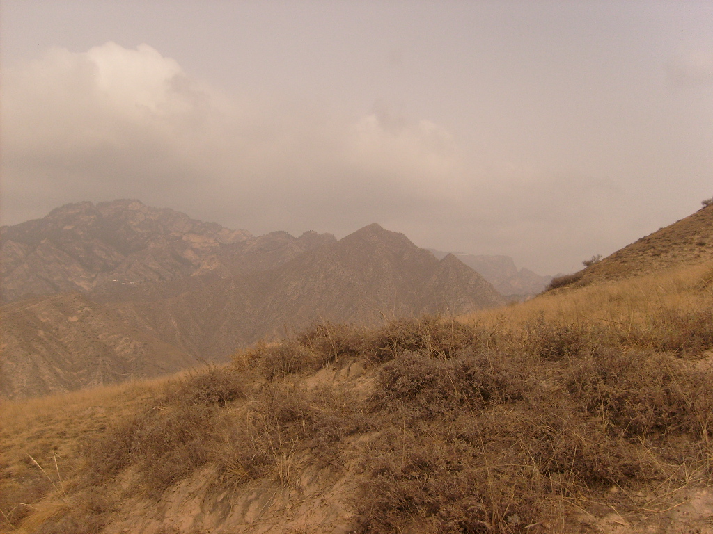 S6303228.JPG