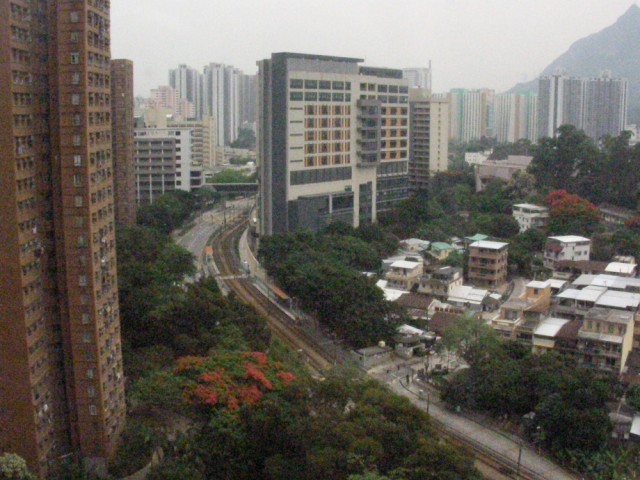 SANY0049.jpg