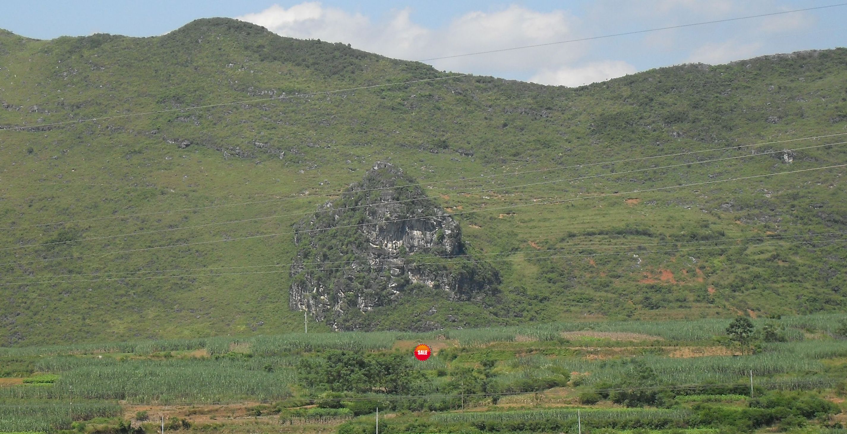 SDC10751