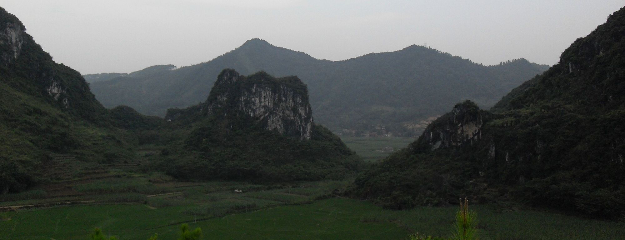 SDC10790.jpg