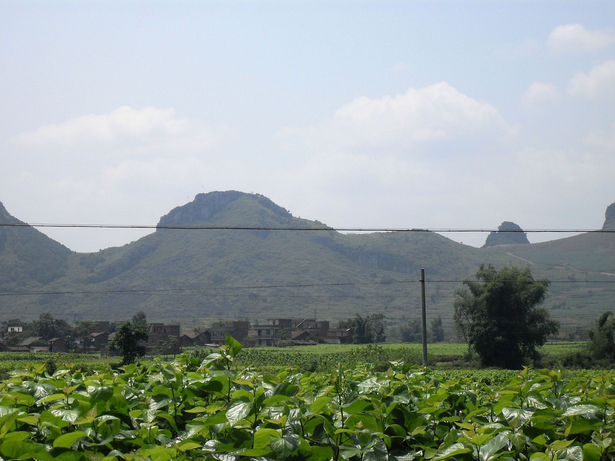 SDC10802.jpg