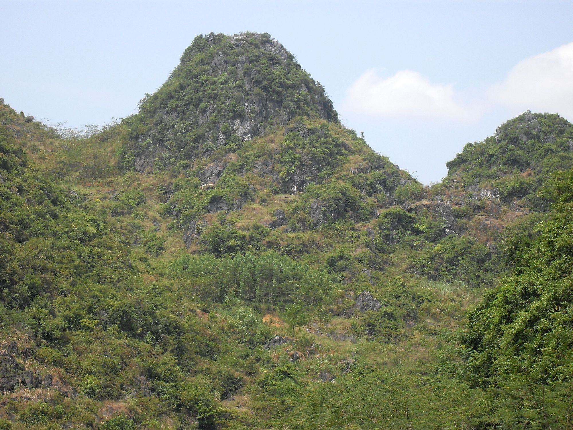 SDC10812.jpg