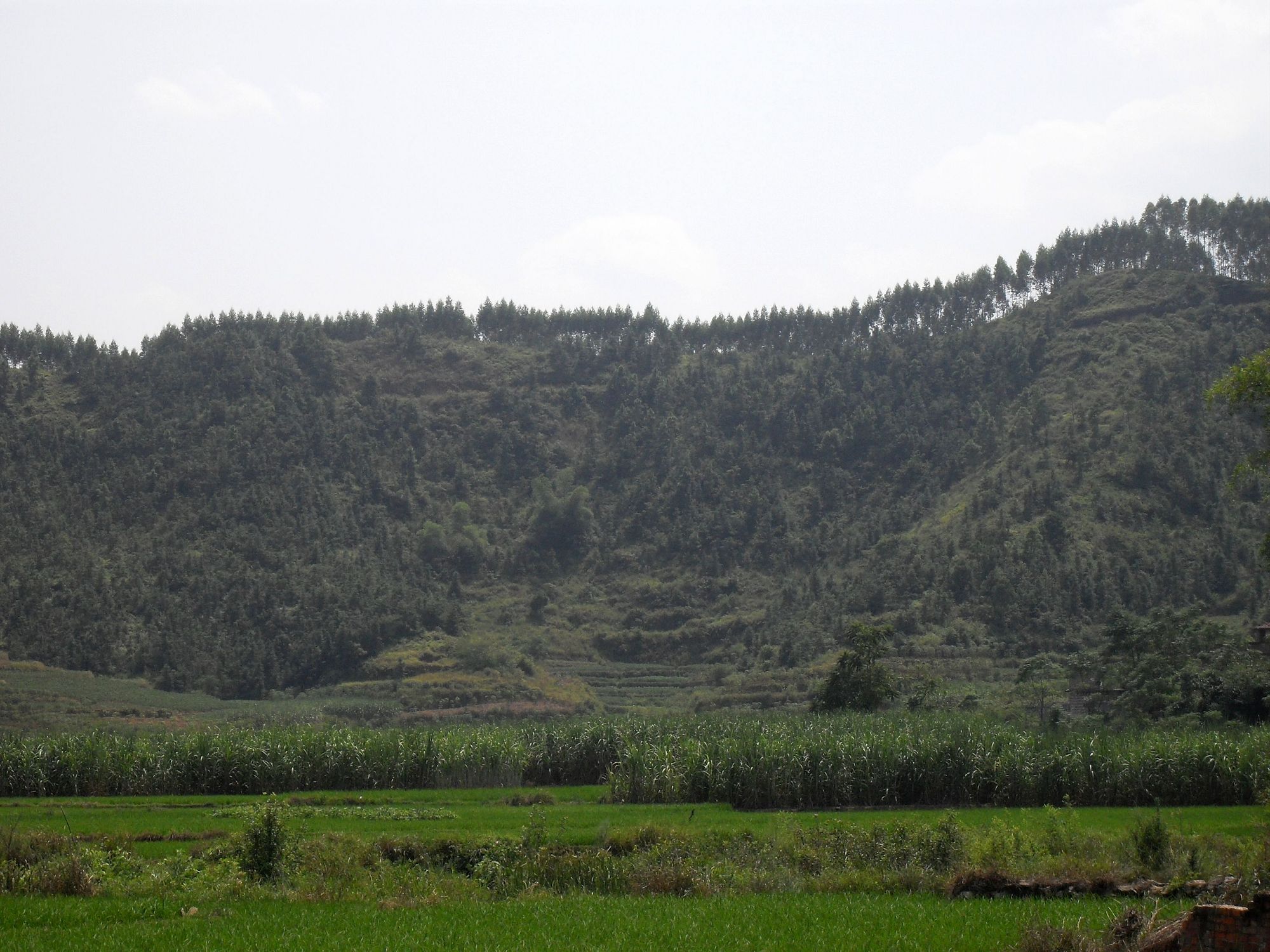 SDC10821.jpg