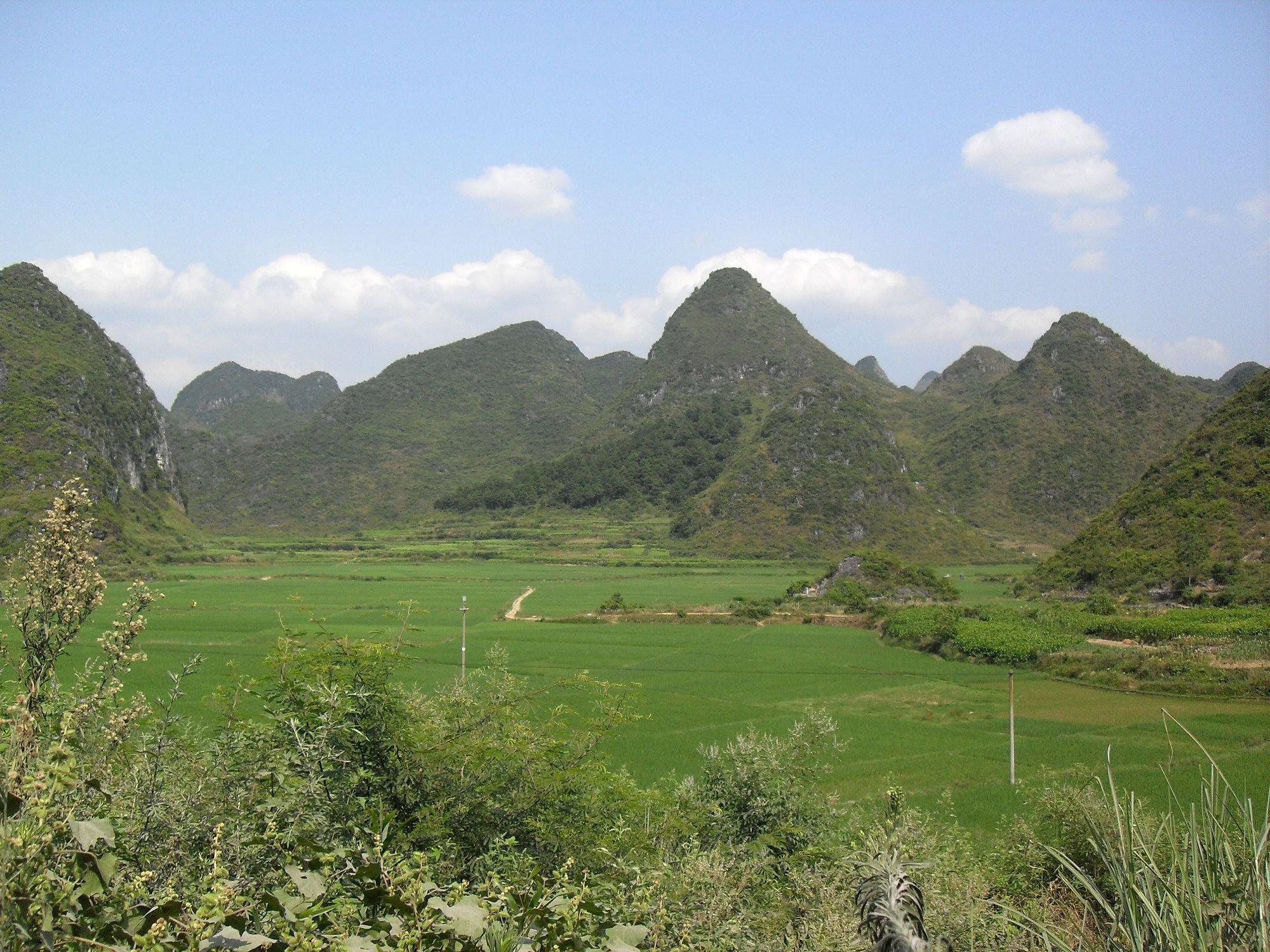 SDC10835.jpg