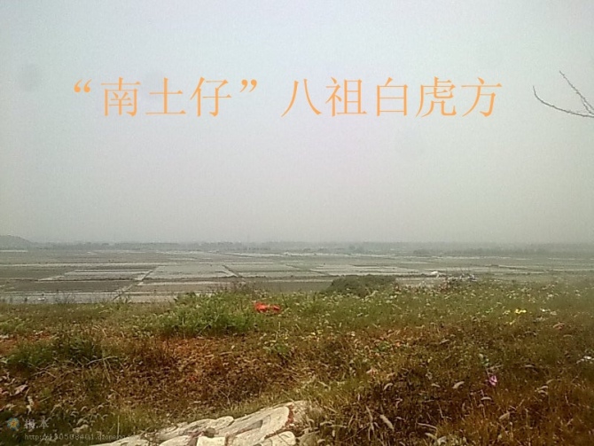 “南土仔山”八祖白虎.jpg