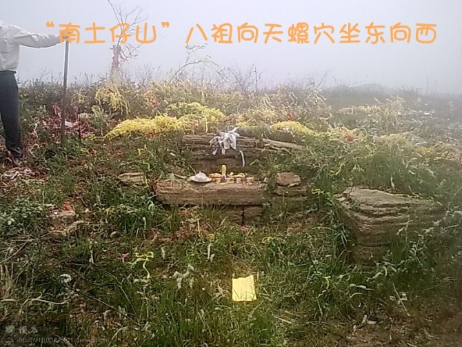 八祖向天螺穴.jpg
