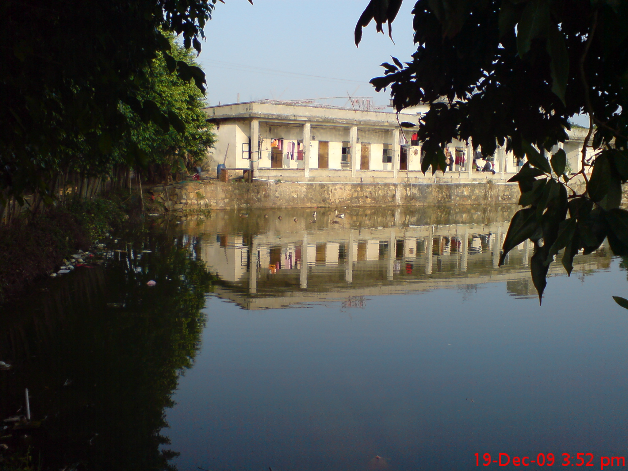 大朗松湖公園