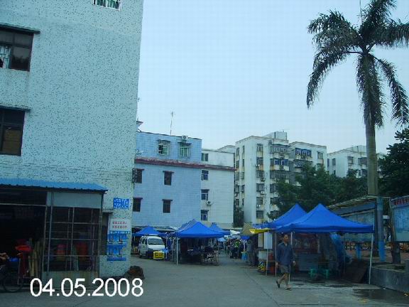 丙巳口上拍南方.JPG